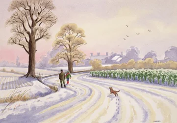 Paseo en la nieve